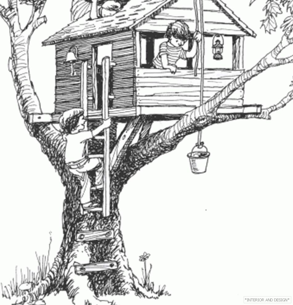 Dom na trzech grubych gałęziach