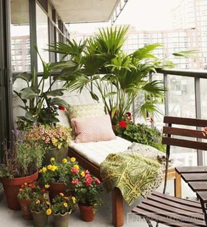Piękny ogród na balkonie