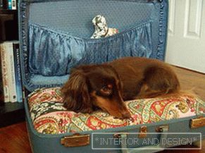 Dom dla psów из чемодана